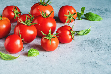 Tomatoes with sweet basil leaves on gray concrete background, copy space