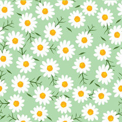 Daisy seamless pattern on green background. Floral ditsy print with small white flowers and leaves. Chamomile design great for fashion fabric, trend textile and wallpaper. Vector