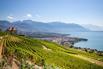 Le Vignoble de Lavaux calssé au patrimoine mondial de l'humanité en Suisse