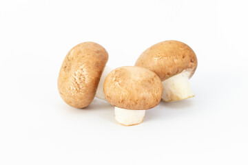 Brown champignon mushrooms isolated on white background,