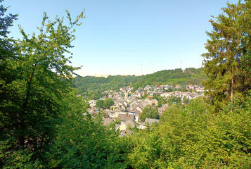 Blick durch Bäume auf den Ort Rieden im Landkreis Mayen-Koblenz, Rheinland-Pfalz.