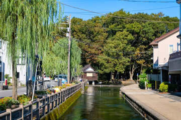 静岡県三島市 白滝公園の隣を流れる桜川