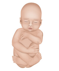 Realistic vector illustration of a newborn little baby in white background. Sleeping baby