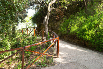 A path among flowering trees in the Botanical Garden of Tbilisi. Georgia country
