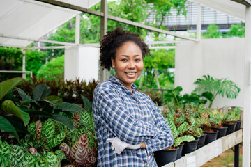 Portrait of an African-American woman on a farm inspecting growing trees on a Greenhouse farm. houseplants, agricultural horticulture. Agriculture plot. Beautiful woman gardening outside the house.