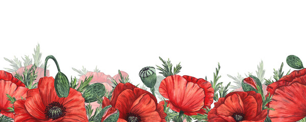 A composition of flowers and buds of red poppy, painted in watercolor, highlighted on a white background.