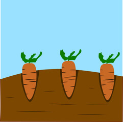 carrot vegetable illustration in the garden