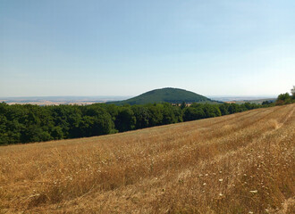 Fototapeta premium Blick auf einen Vulkanberg bei Bell in der Eifel vom Wanderweg Traumpfad Waldseepfad Rieden in Rheinland-Pfalz.