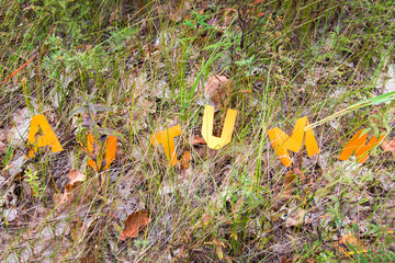 Letters Autumn on the background of fallen leaves. Decorative lettering, autumn concept. Cold snap, the onset of autumn