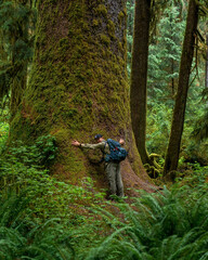hiker in the hoh rainforest