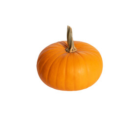 Pumpkin isolated on a transparent background. Halloween or Thanksgiving pumpkin.