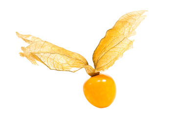 fresh raw physalis