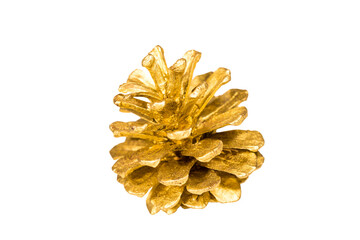 golden fir cone