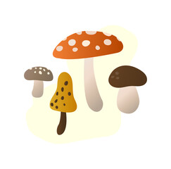 a set of various autumn mushrooms. multicolored hats and size.autumn atmosphere