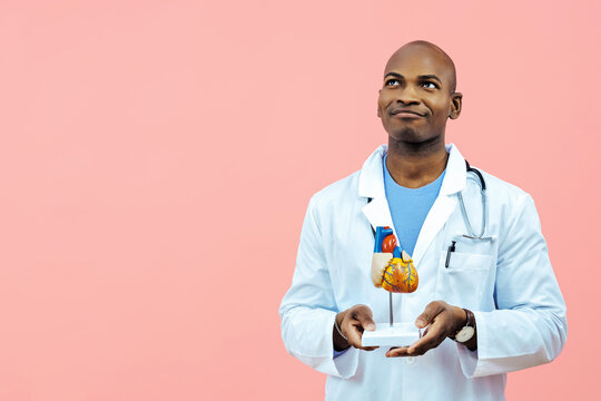 Doctor wearing lab coat holding heart model looking up at copy space indoors studio