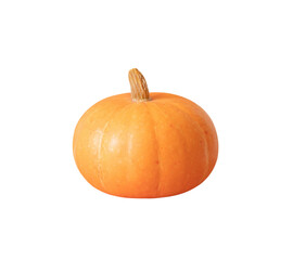 Pumpkin isolated on a transparent background. Halloween or Thanksgiving pumpkin.