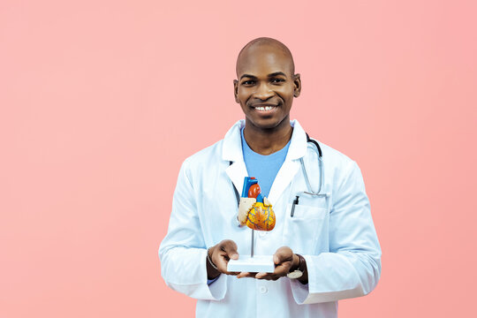 Doctor smiling holding heart model wearing lab coat indoors studio