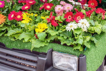 car with flower bed in engine compartment instead of an engine, concept of developing an environmentally friendly mode of transport, car without environmental pollution, eco-friendly
