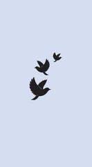 3 birds are flying. wildlife silhouette on earth wildlife conservation concept. peace day. vector illustrations.