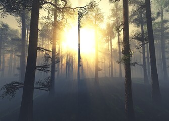 Pine forest in the morning in the rays of the rising sun in a foggy haze, 3d rendering