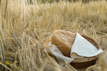 wheat and bread on the field in a wicker basket, natural colors, organic bread