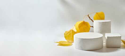 Empty round white podium for product presentation. Colorful autumn leaves  on a light background. Mock up for displaying works