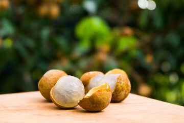 Fresh Longan on wooden tray in Longan orchards.