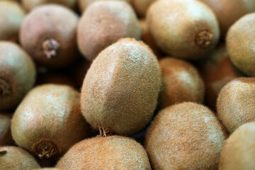 close up of kiwi fruit, selective focus