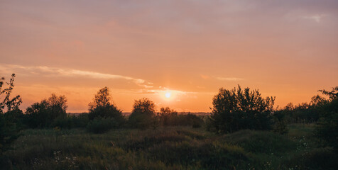 Beautiful silhouette of a sunset with bushes, a very romantic place in nature