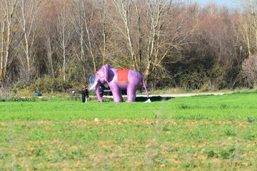 Juegos, inflable, animal