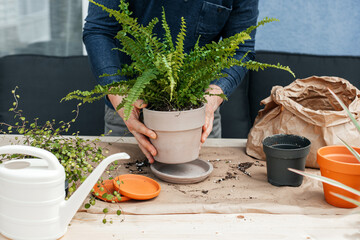 A young man transplants homemade flowers into pots. A gardener is watering a fern from a watering...