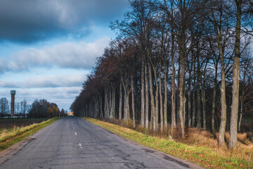 Old asphalt road along beautiful gloomy trees.