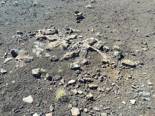 Sol sur l'ile de la Réunion