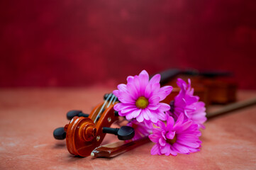 violin and flower