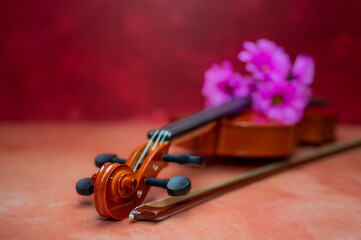 Fototapeta na wymiar violin and flower