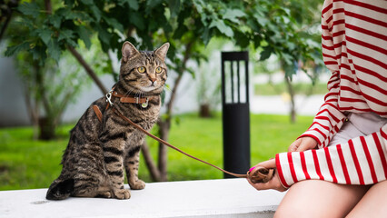 Young woman and tabby cat sitting on a bench outdoors.