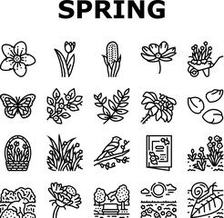 spring season flower nature icons set vector. flora plant, green leaf, blossom garden, beauty fresh tree, grass sky, beautiful spring season flower nature black contour illustrations