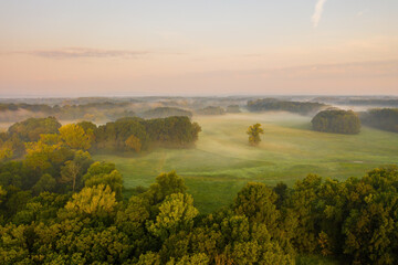 Riparian forest with morning mists from aerial perspective. Natural scenery with trees, meadow and fog at sunrise from above. Fresh summer country with green plants.