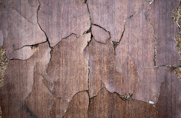 Photo of the texture of a cracked wooden surface. A ruined wooden table. The effect of moisture on the wooden surface. Protection of wood from moisture.