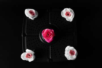 still life black background and roses