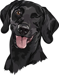 Black labrador retriever. Portrait. Vector illustration