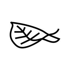 leaf birch autumn line icon vector. leaf birch autumn sign. isolated contour symbol black illustration