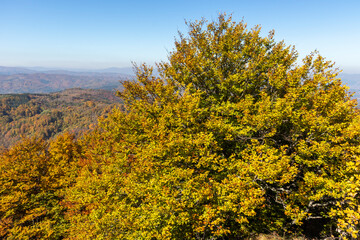 Fototapeta premium Amazing Autumn Landscape of Erul mountain, Bulgaria