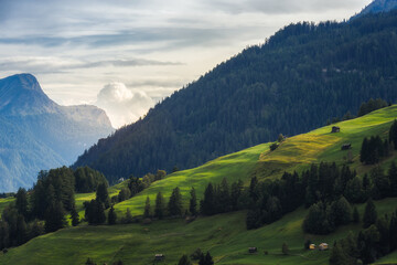 Cloudy sunset on grass and woods at Fiss (Tirol) in the Austrian Alps
