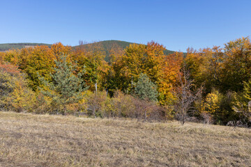 Amazing Autumn Landscape of Erul mountain, Bulgaria