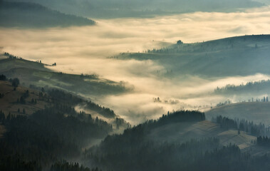 Obraz premium silhouettes of morning mountains. foggy morning in the Carpathians. Mountain landscape