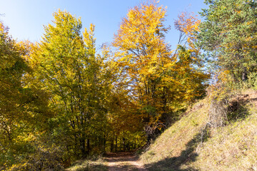 Fototapeta na wymiar Amazing Autumn Landscape of Erul mountain, Bulgaria