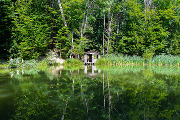 A small house on the shore of a lake in the forest in a green blanket of trees and reeds.
