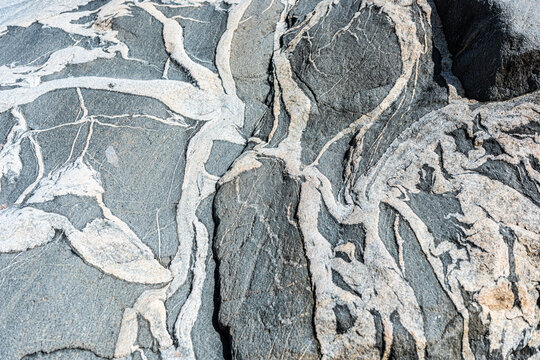 dark and light grey migmatite rock sanded down by the sea.