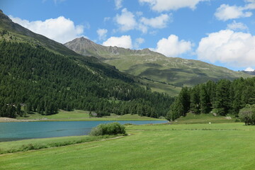  Silvaplanersee, Engadin